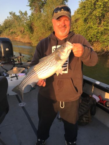Striper Fishing 2019 Sacramento