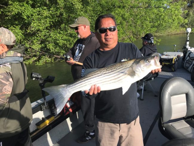 Striper Fishing 2019 Sacramento