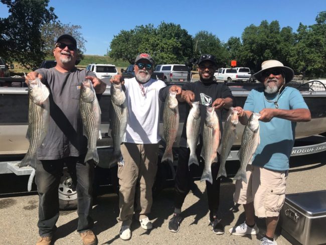 Striper Fishing Sacramento