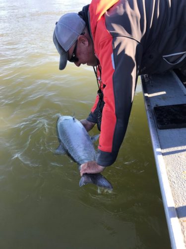 Striper fishing Report