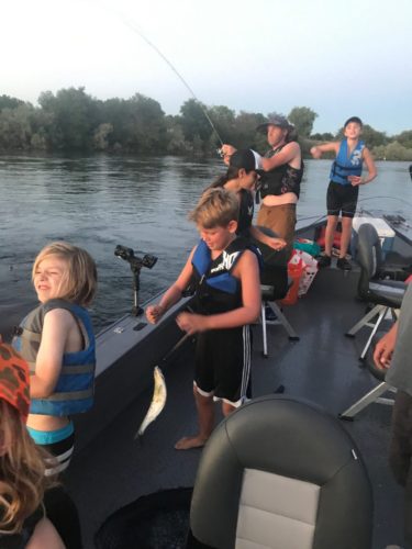 Shad Fishing Guide Service Sacramento
