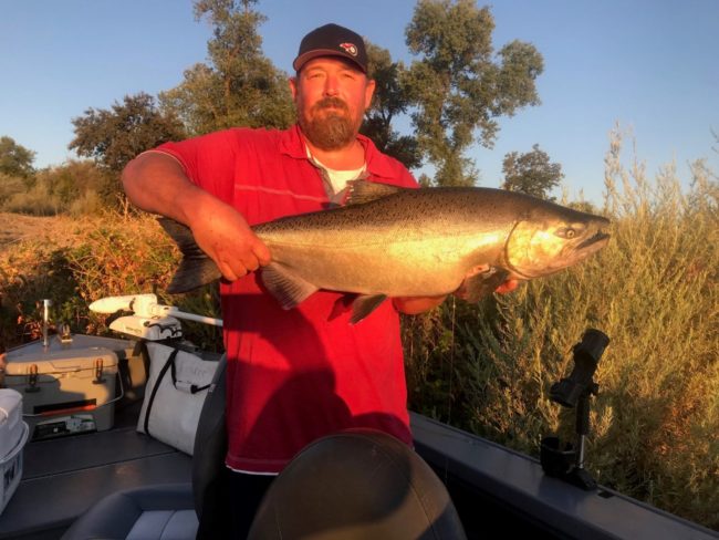 Fishing Guide Sacramento Salmon