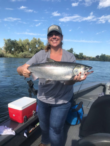 Salmon Catch Sacramento 9-2019