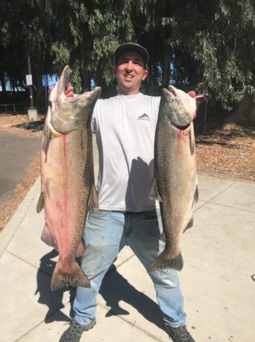 Salmon Report 2019 Sacramento