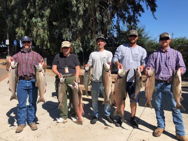 Salmon Limits Sacramento