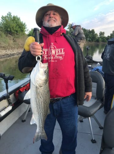 Striper Guide
